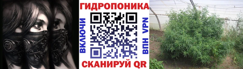 Марихуана сатива Уфа